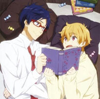 Reigisa